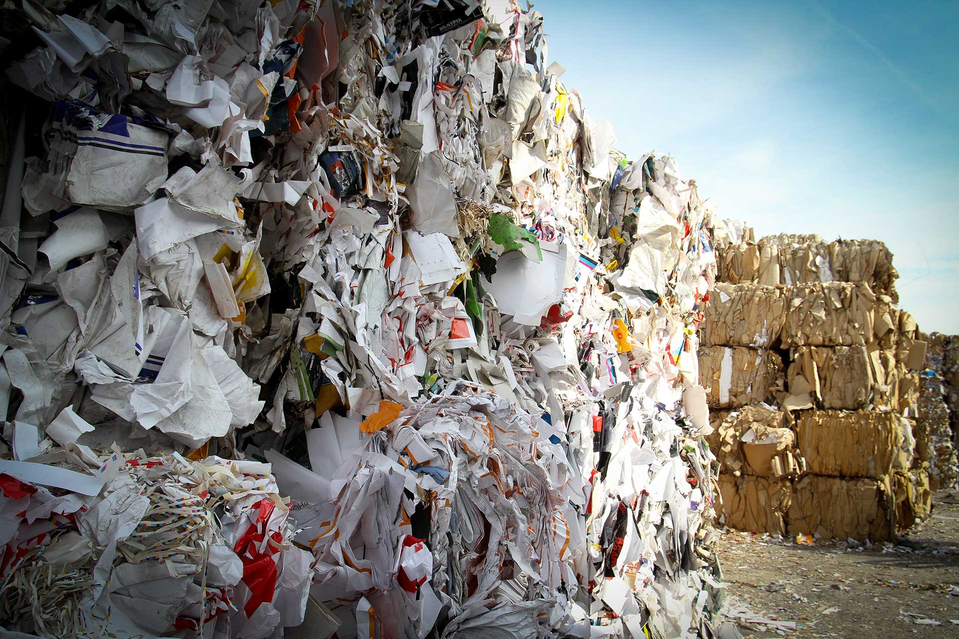 Recycled Paper at a Dock Recycled Paper at a Dock